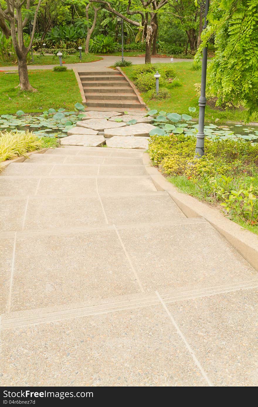 Pathway in plants garden. Pathway in plants garden.