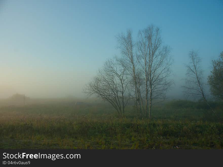 Fog on rising in the field. Fog on rising in the field