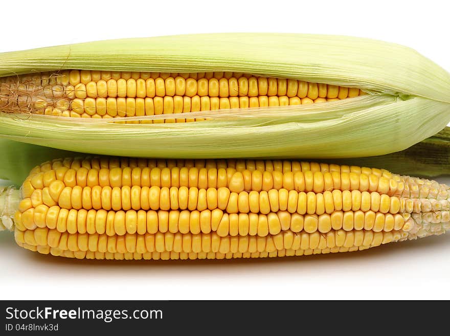 Fresh corn on white background. Fresh corn on white background