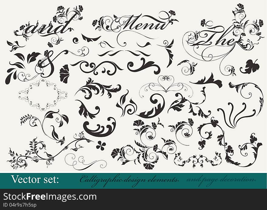 Decorative elements for  your design. Calligraphic vector. Decorative elements for  your design. Calligraphic vector