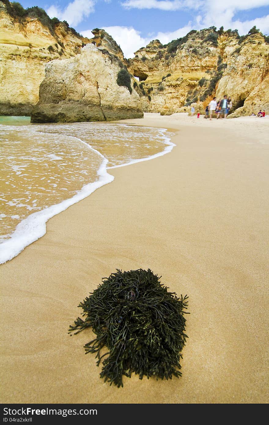 Wonderfull Portuguese Beach