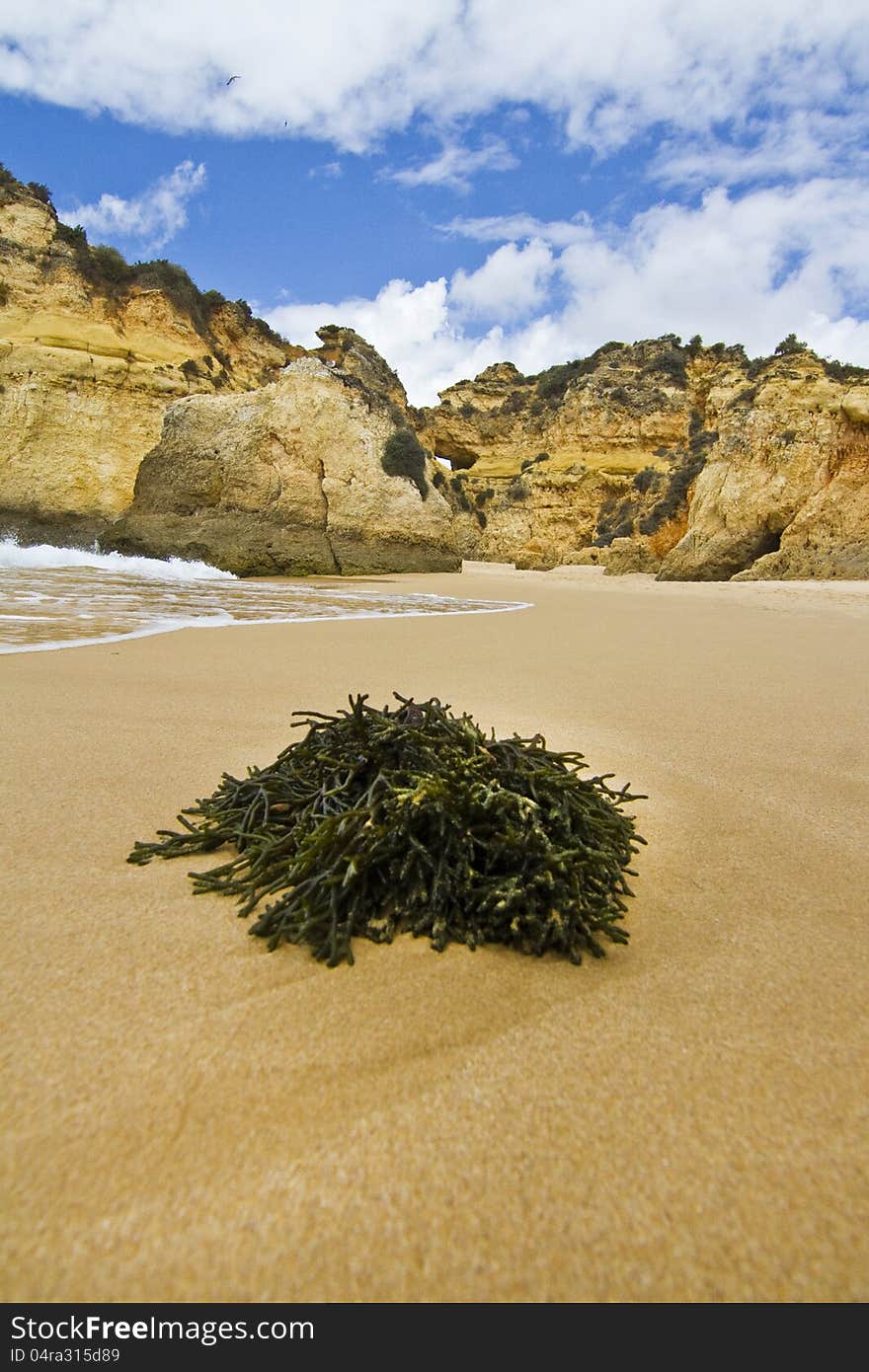 Wonderfull Portuguese Beach