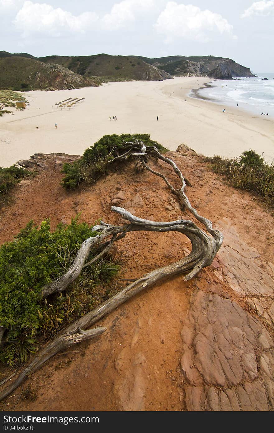 Beautiful Coastline Of Sagres