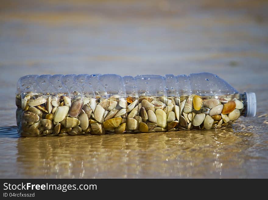 Bottle with donax clams