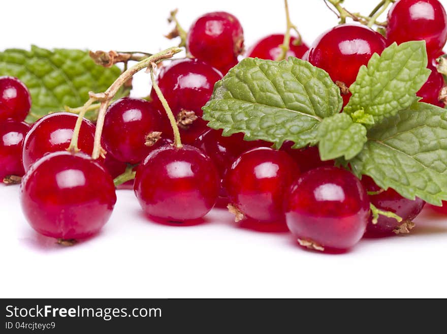 Tasty red currant berries