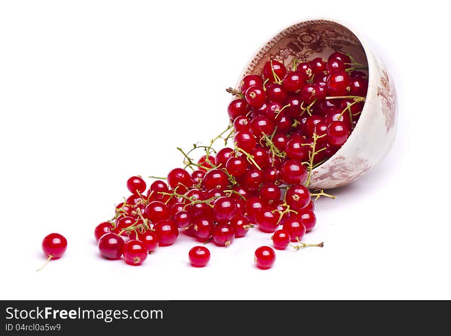 Tasty red currant berries