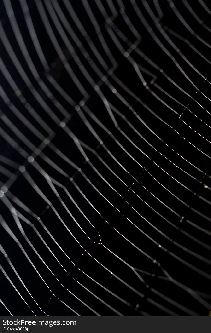 Close up view of a light reflected spider web.