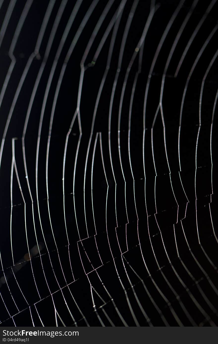 Close up view of a light reflected spider web.