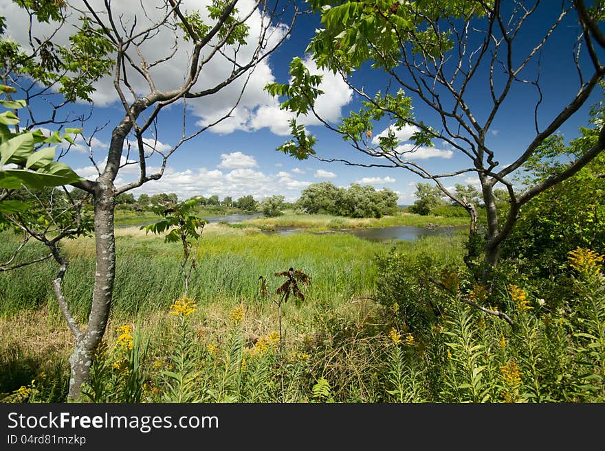 A beautiful green space and waterfront park providing habitat for flora and fauna in a suburban marsh in Lasalle Quebec. A good example of urban planning. A beautiful green space and waterfront park providing habitat for flora and fauna in a suburban marsh in Lasalle Quebec. A good example of urban planning