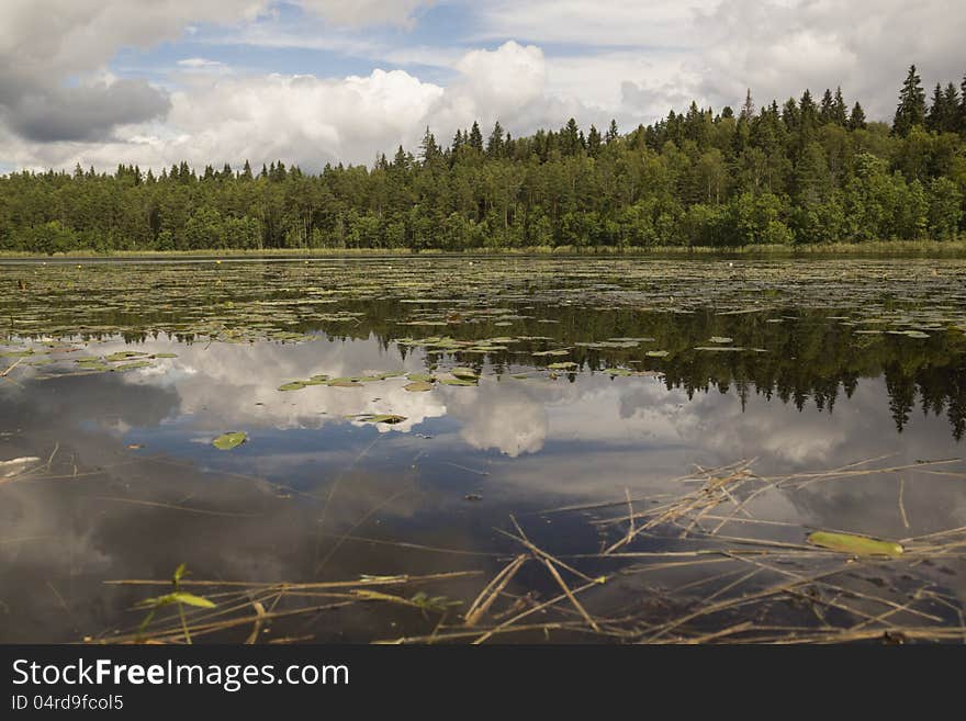 Livsky lake. To the West from lake Seliger. It is remote. Livsky lake. To the West from lake Seliger. It is remote.