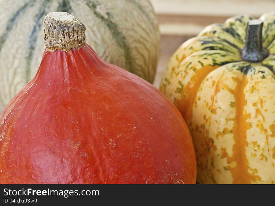 Autumn pumpkins  on wooden board. Autumn pumpkins  on wooden board