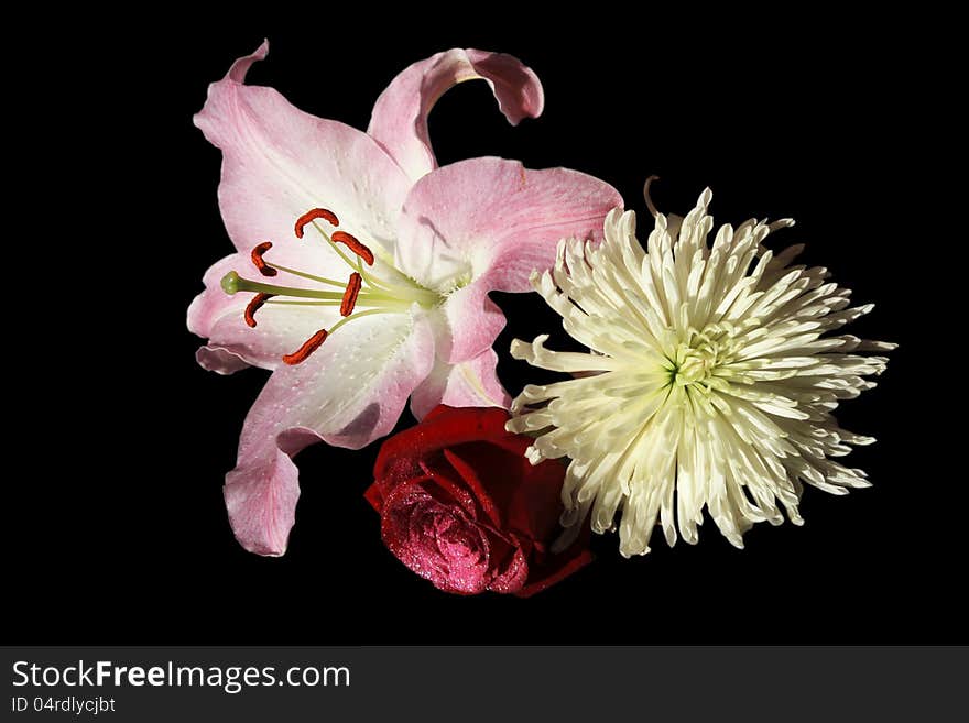 Bouquet of fresh bright flowers