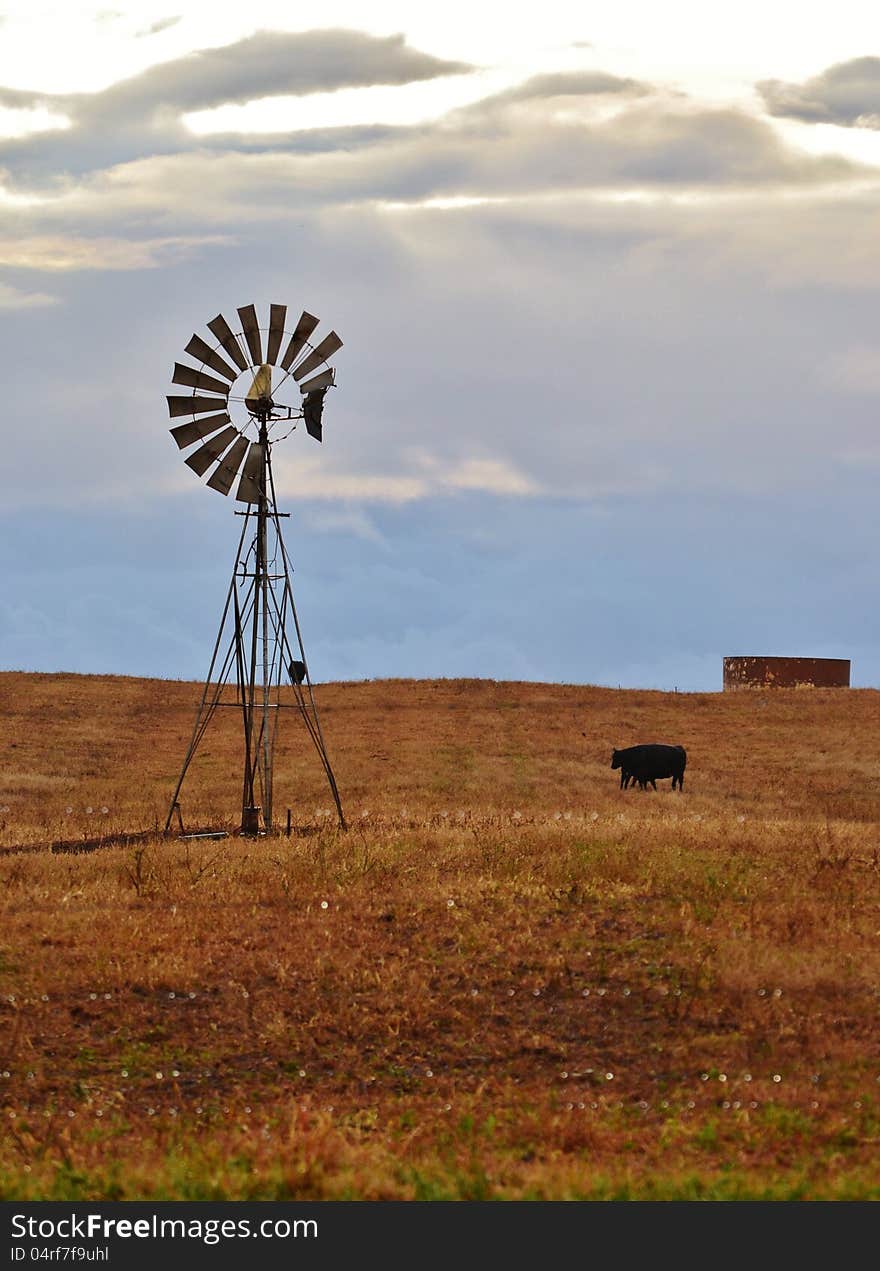 Landscape with windmill water pump on a farm westerncape south africa