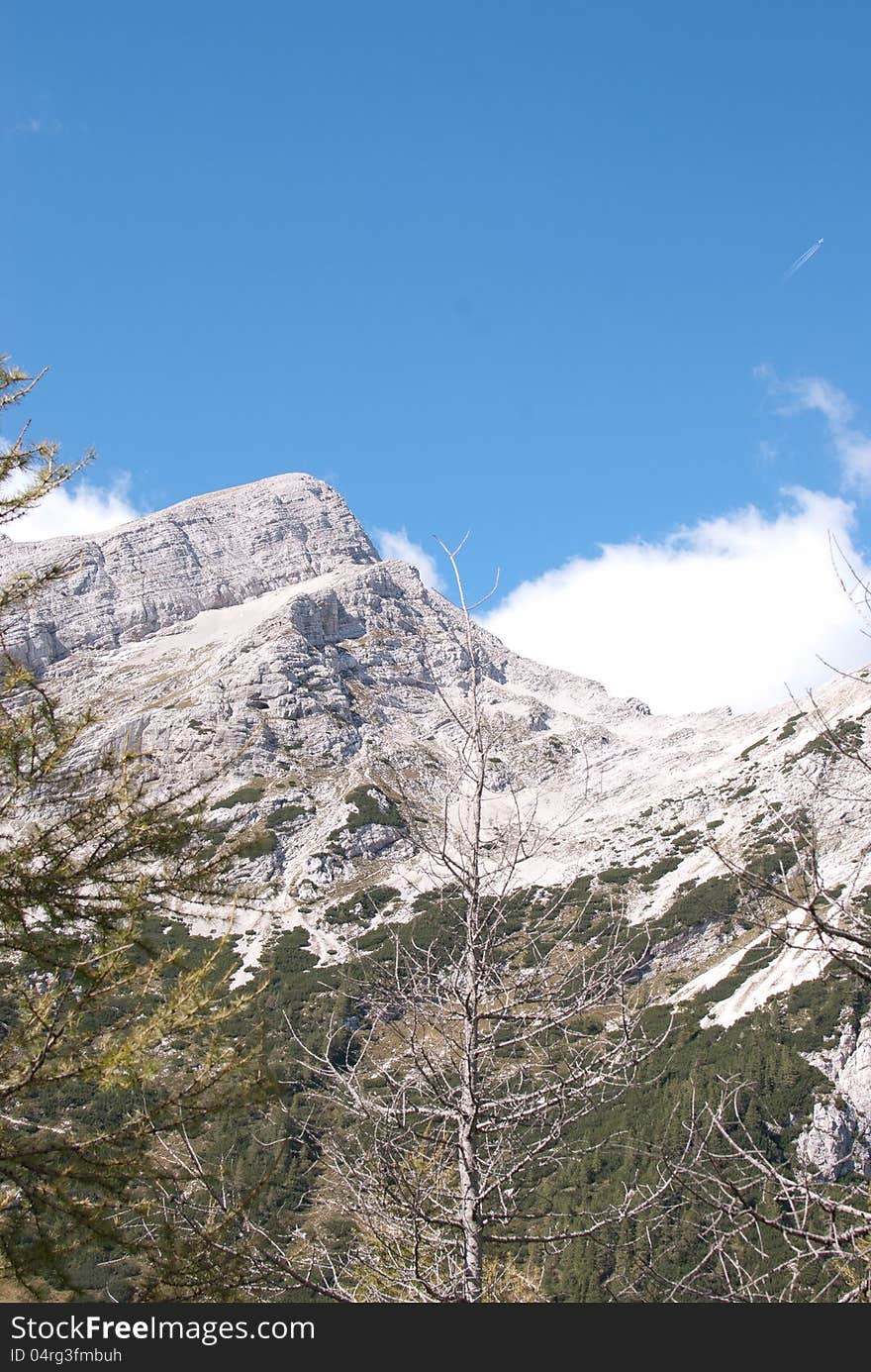 White rock mountain with clouds and sick tree pine. White rock mountain with clouds and sick tree pine.