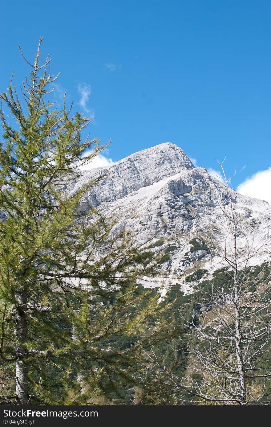 White rock mountain with clouds and green and grey tree pine. White rock mountain with clouds and green and grey tree pine.