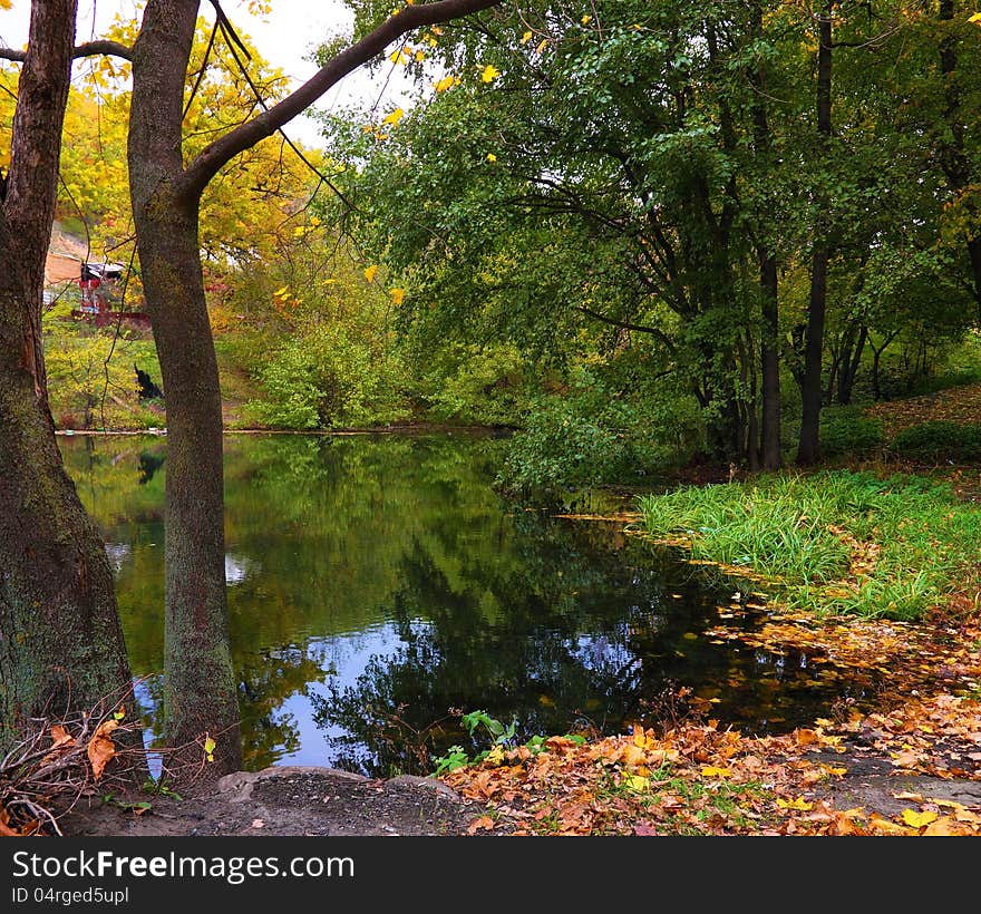 View Of A Pond