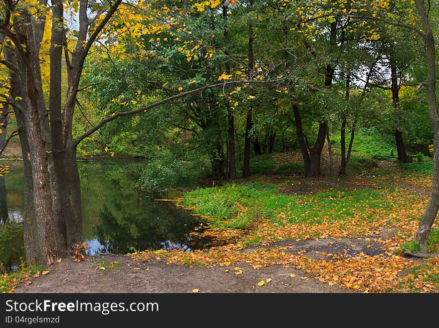 Autumn landscape. View of a pond. Andreevsky ponds in Saratov.