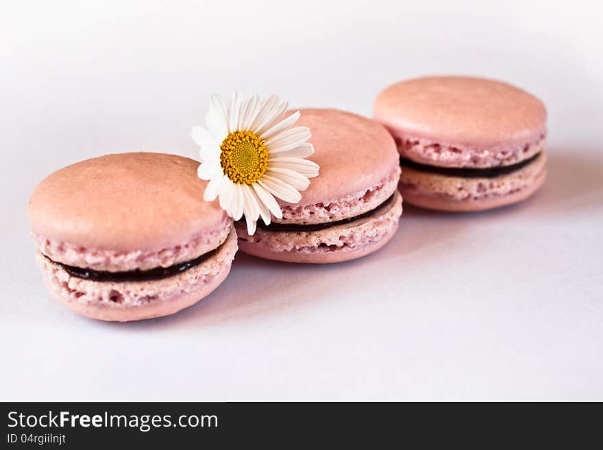 Pink french macarons in row