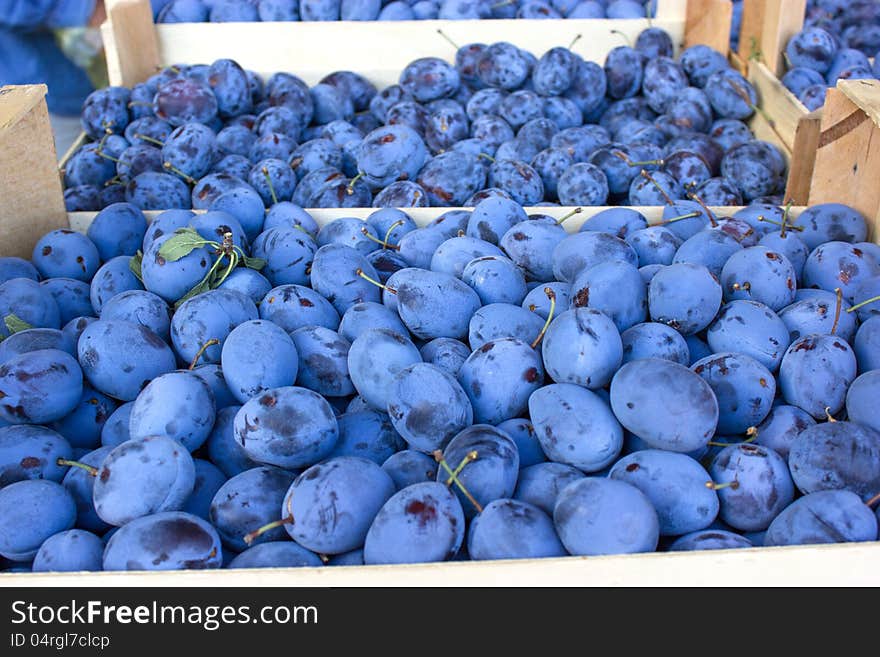 Organic plums - damson