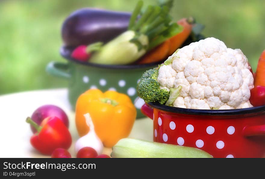 Vegetables in pots on the table