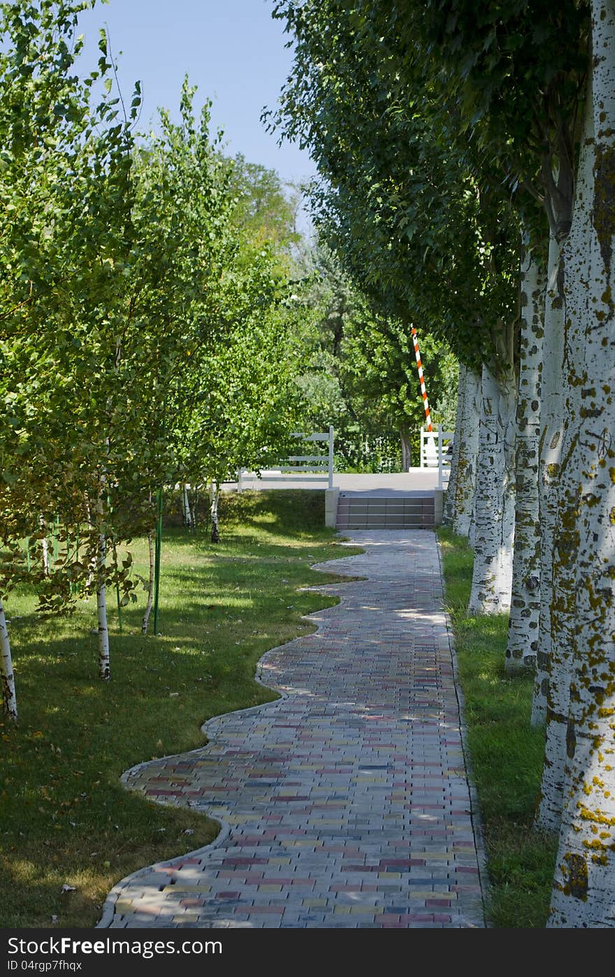 The road along trees