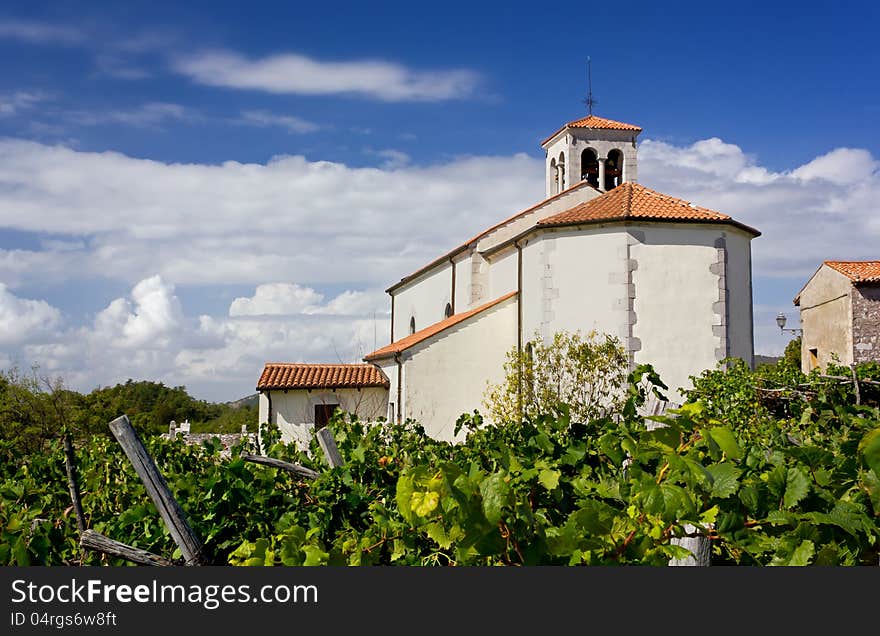 18th century country church in context, with grapevine in the foreground