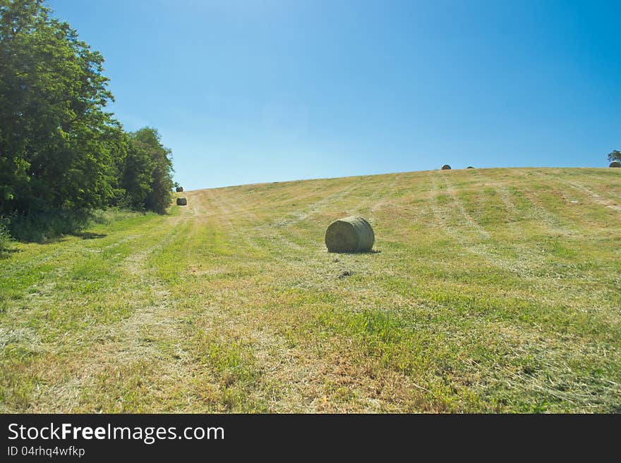 Hay bale from freshly cut grass during a sunny day. Hay bale from freshly cut grass during a sunny day