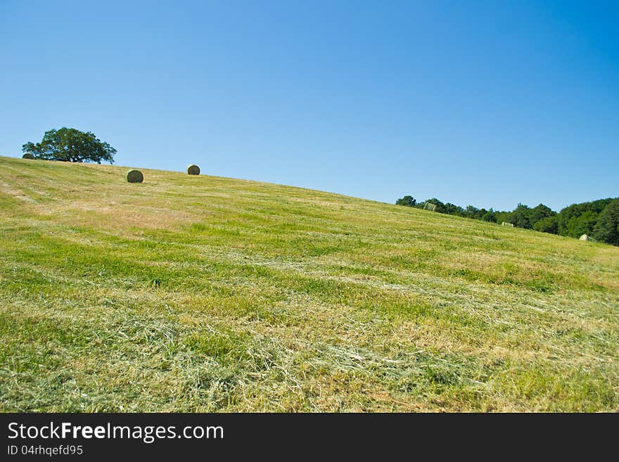 Hay Bales In A Green Field