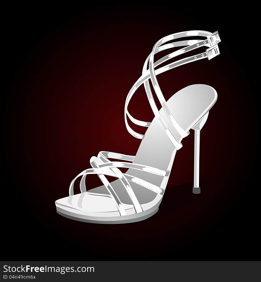 Woman shoe on a black background. Woman shoe on a black background