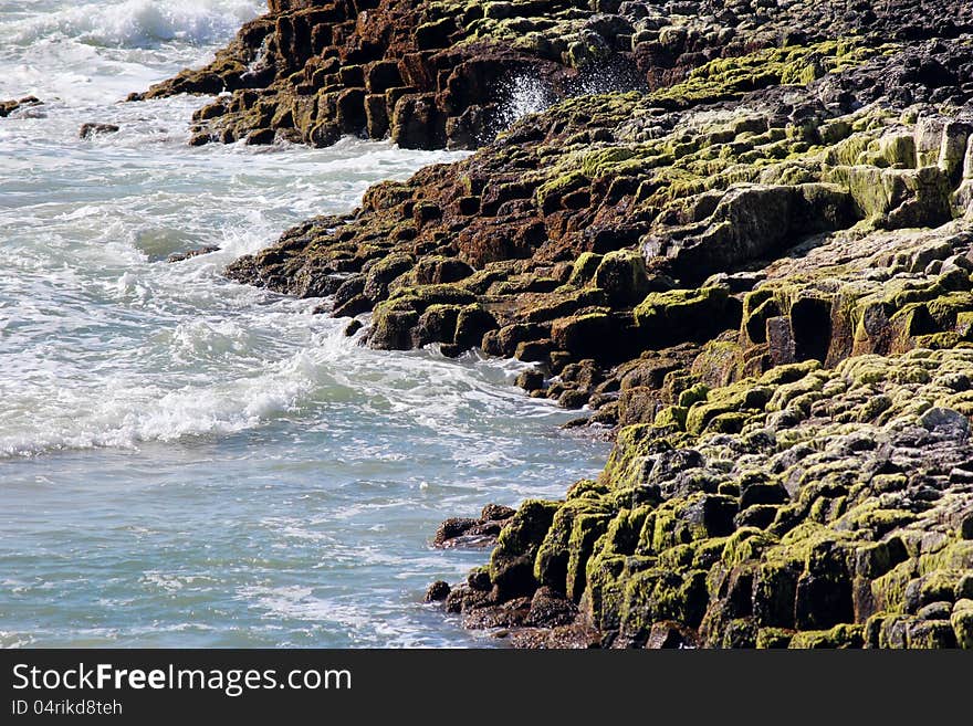 Lichen Covered Rocky Shore