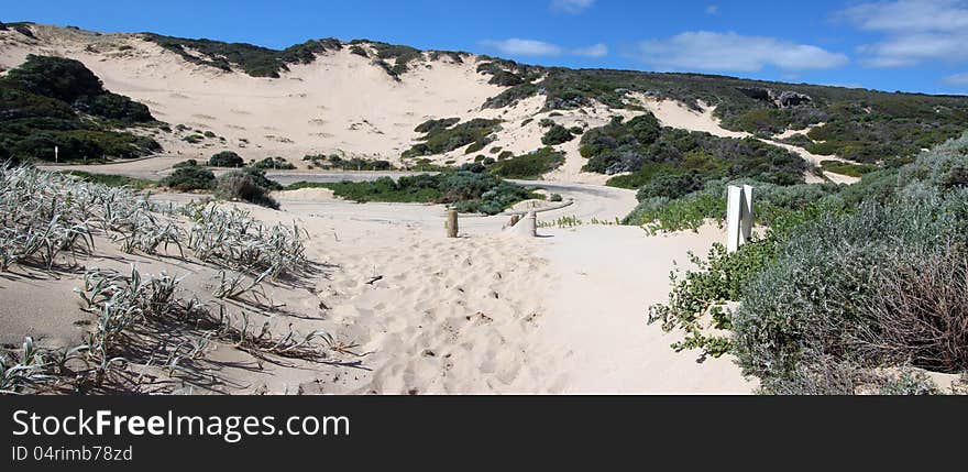 Panorama of Coastal  Dune Landscape