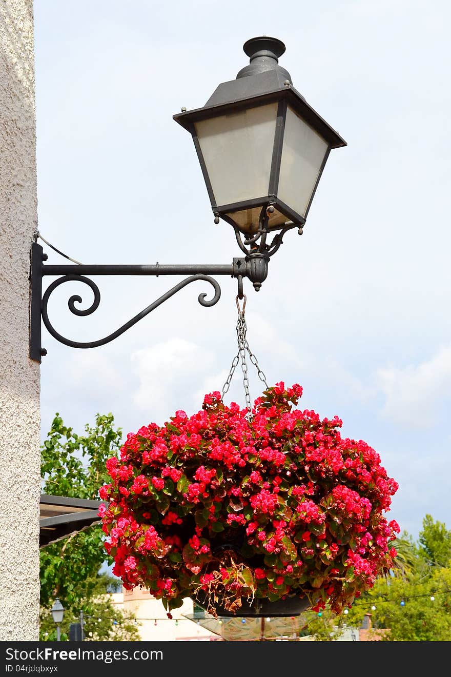 Old lantern with hanging flowers