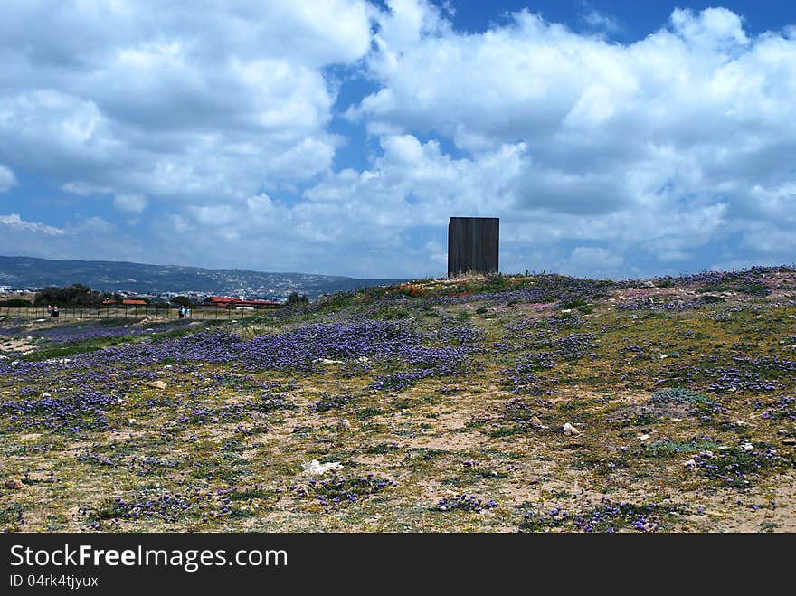 Coastline park with flowers in Mediterranean sea