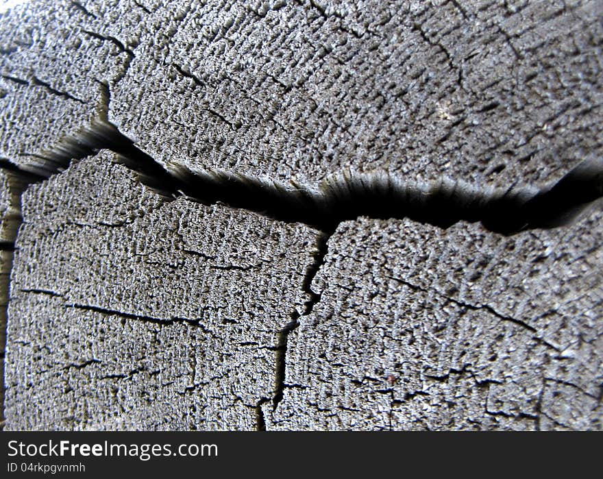 This is structure of wood board with crack. Closeup