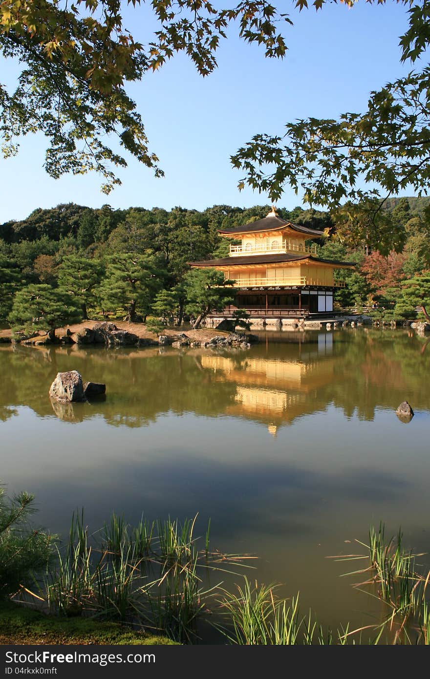 Kinkakuji the Golden temple