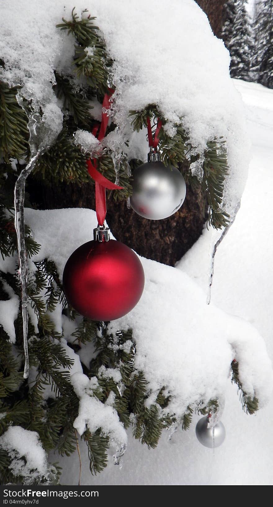 Snow covered trees on the mountain with red and white globes. Snow covered trees on the mountain with red and white globes