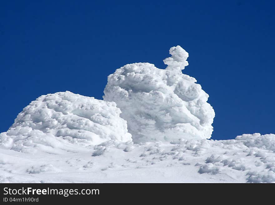 Snow covered trees on the mountain. Snow covered trees on the mountain