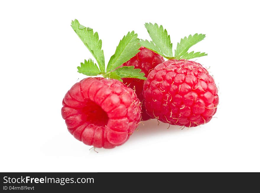 Ripe red raspberry with leaves on white background