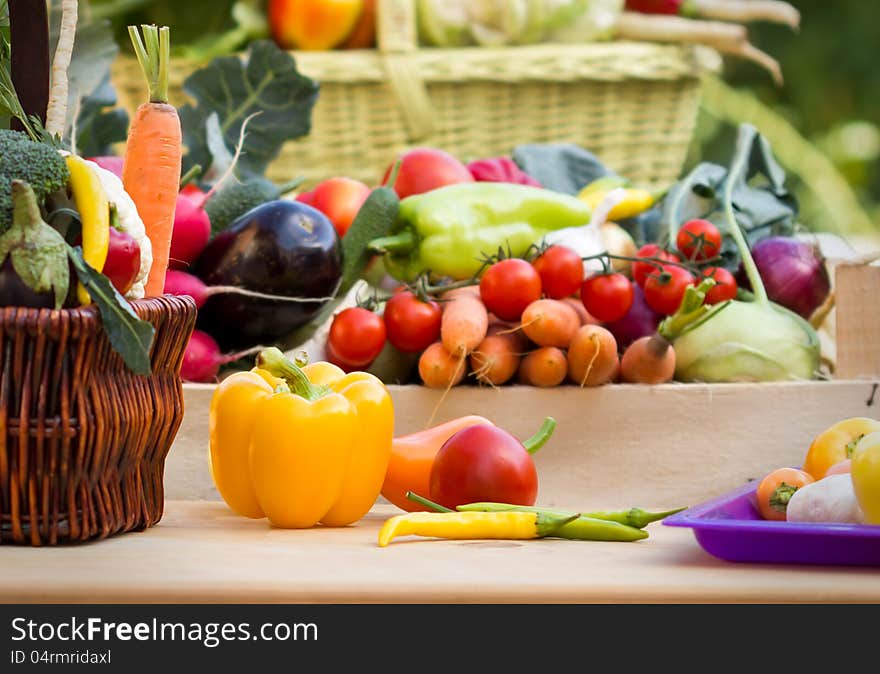 Table is full of diverse and fresh vegetables. Table is full of diverse and fresh vegetables