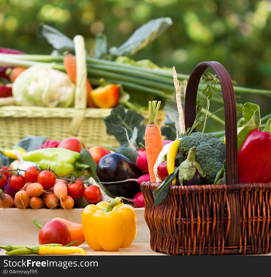 Fresh organic vegetables on the table