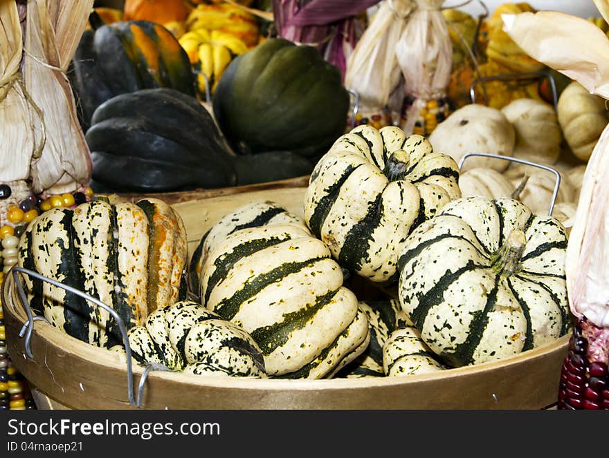 Autumn squash