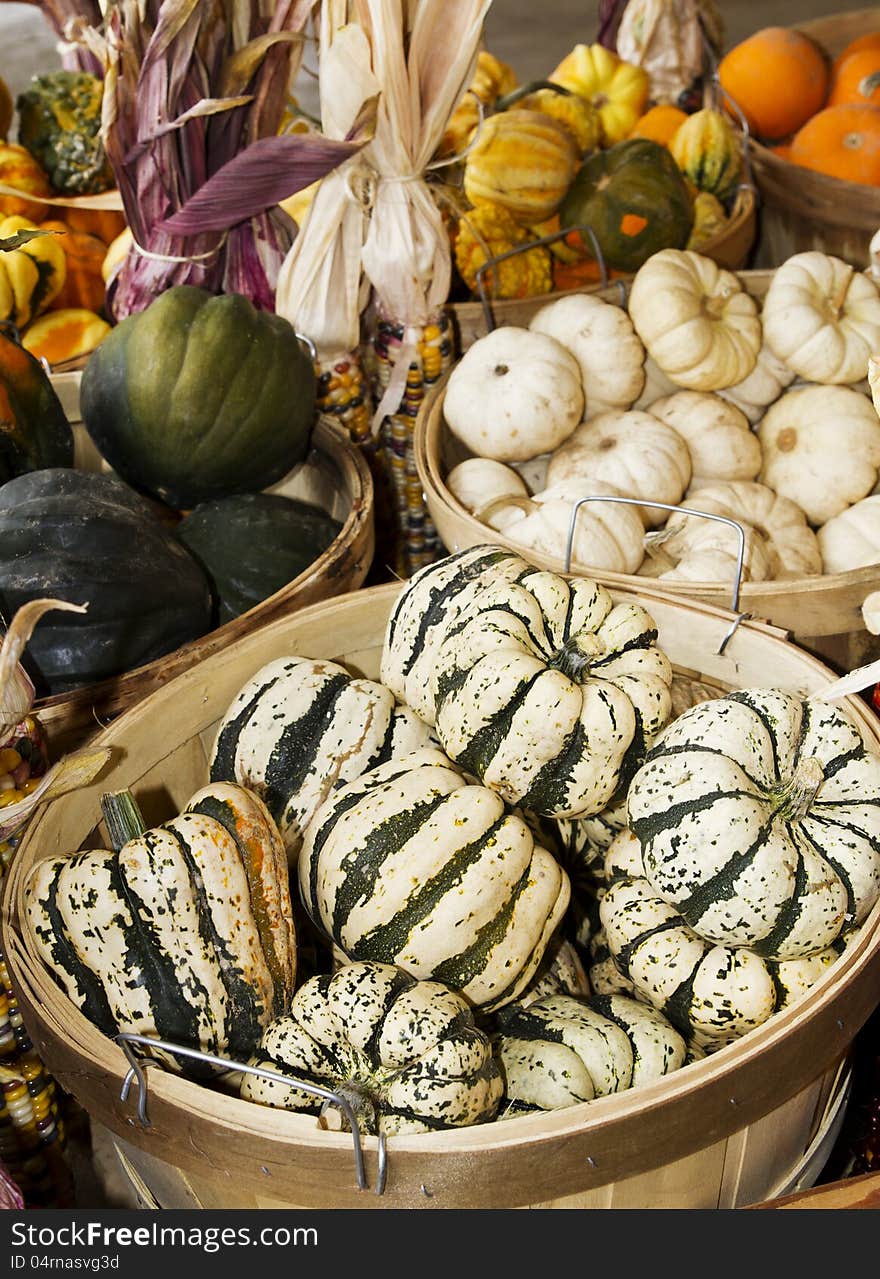 Still life composition of Autumn squash varieties