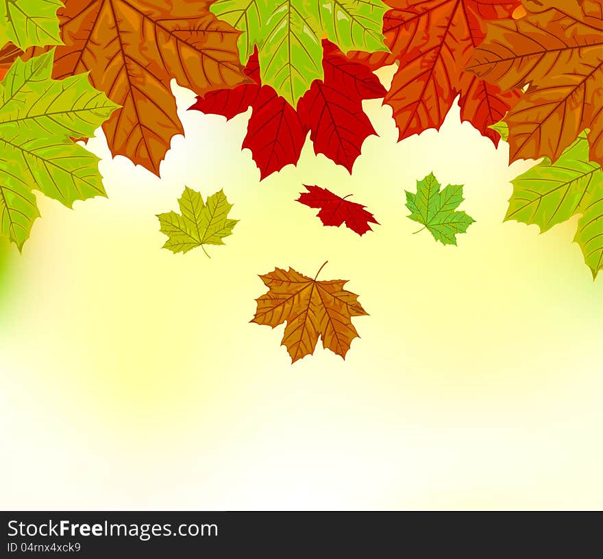 Falling Autumn Leaves Background