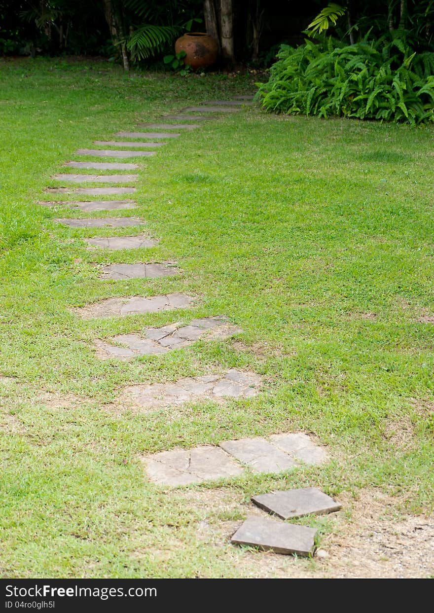 Pathway on green field in the garden