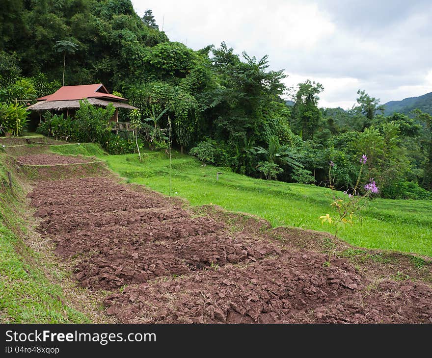 Agriculture landscape