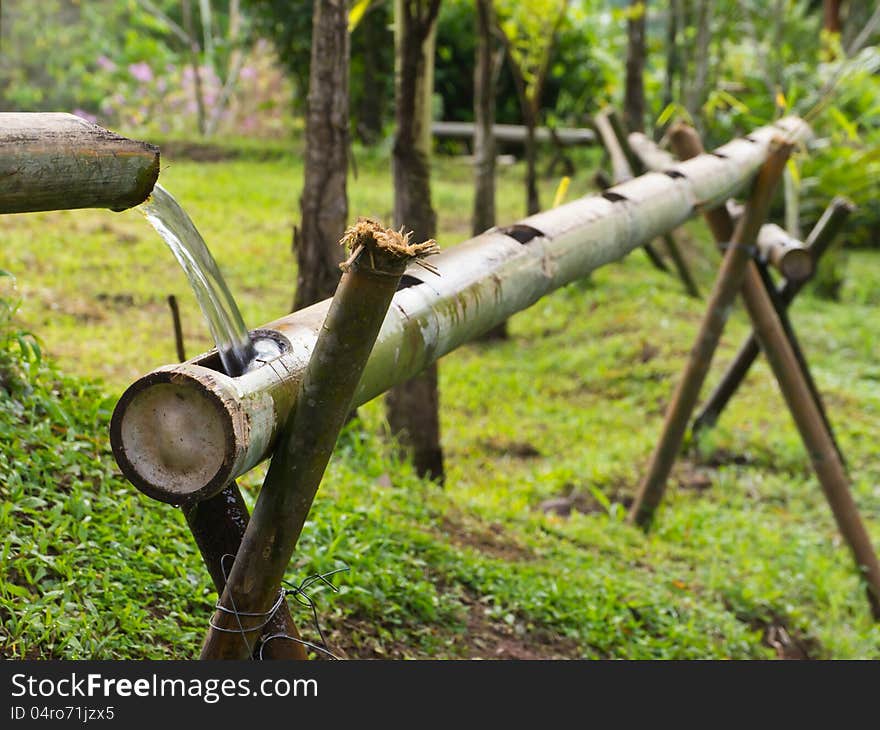 Water pipe