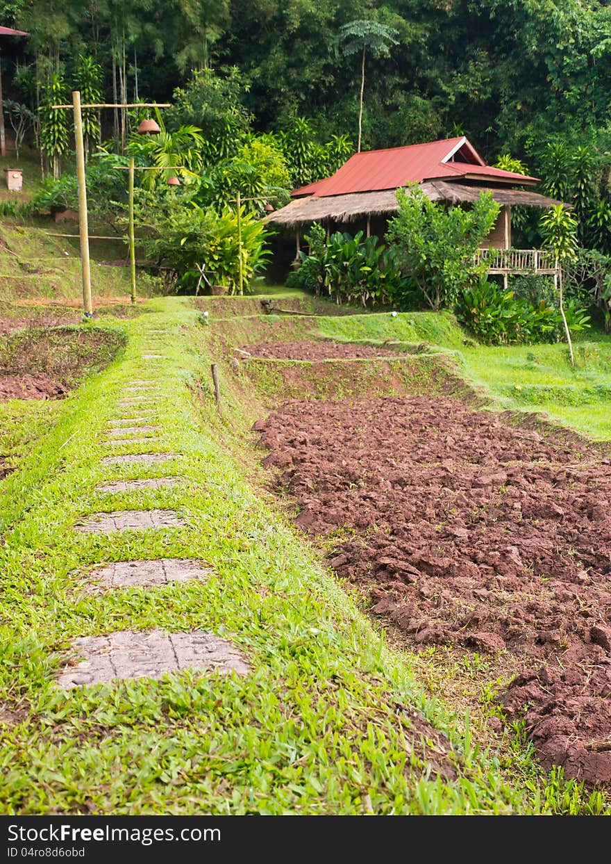 Agriculture landscape