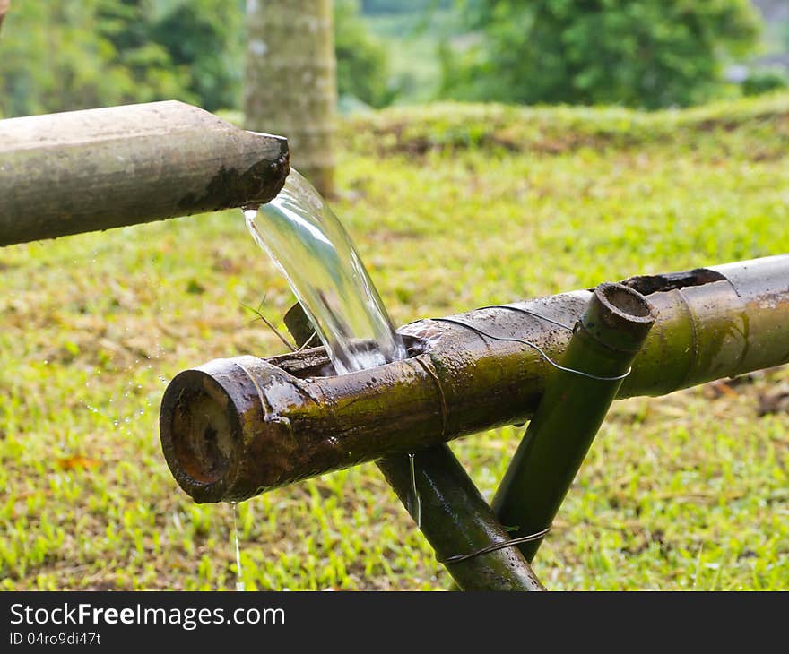 Natural water is flowing on bamboo pipe. Natural water is flowing on bamboo pipe