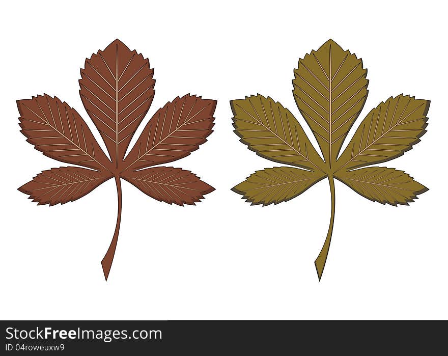 An illustration featuring two different colored chestnut leaves. An illustration featuring two different colored chestnut leaves