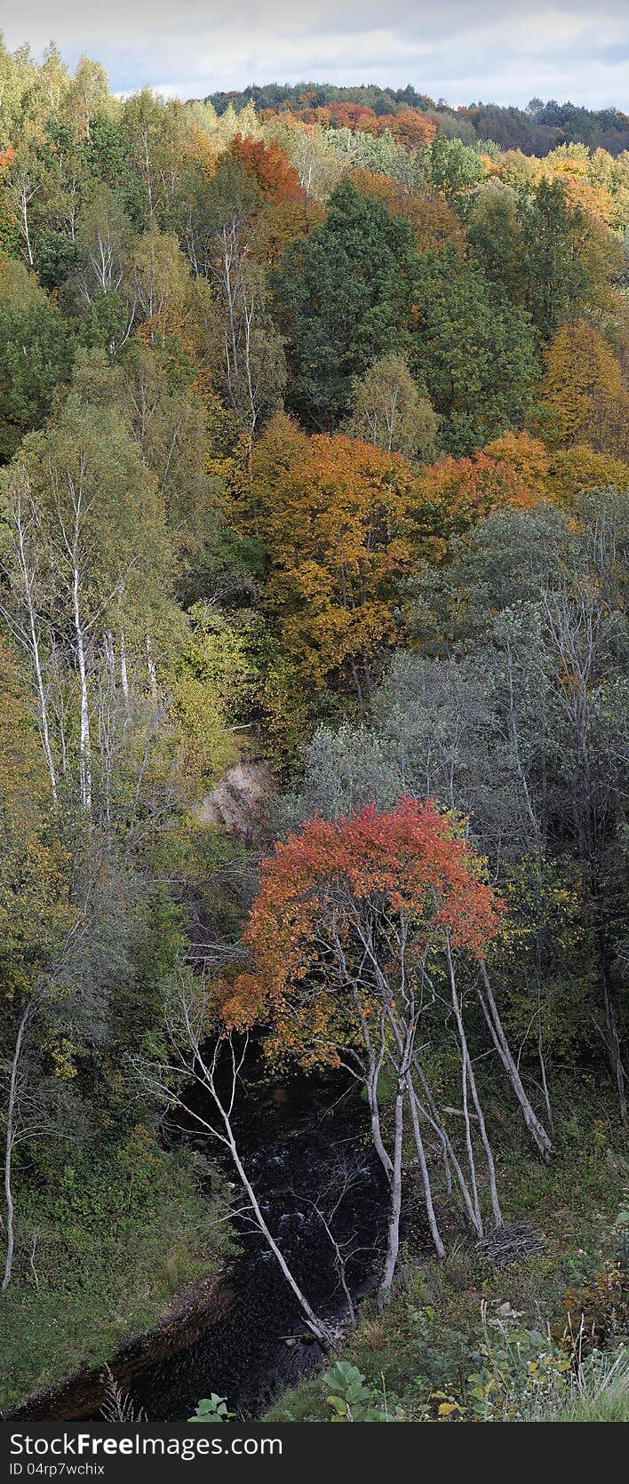 Wild river landscape at a fall.